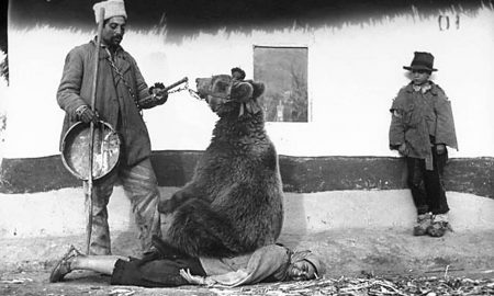 Medveď ako masér, či presun budovy: 10 historických fotografií