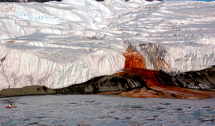 Antarktída: 10 neuveriteľných faktov, ktoré si pravdepodobne nevedel o Južnom póle