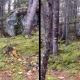 V Kanade sa podarilo natočiť bizarné video: Videl si už, ako dýcha les?